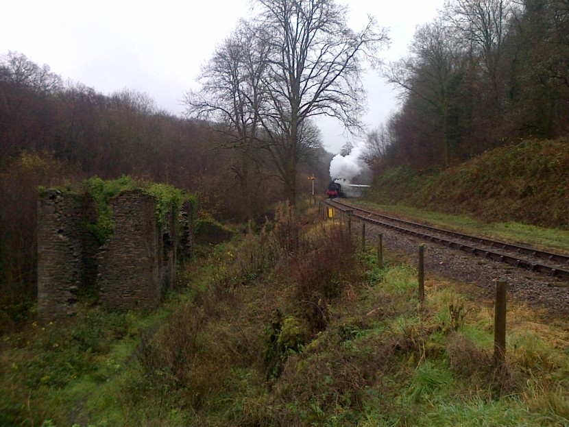 Cannop Valley railway